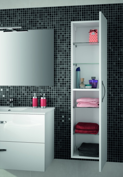 Шкаф пенал Jacob Delafon Ola 35 EB396-N14 подвесной Серый антрацит