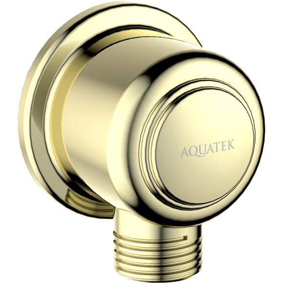 Шланговое подключение Aquatek Классик AQ2461PG Полированное золото