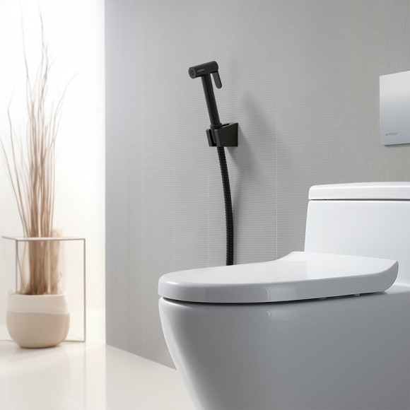 Гигиенический душ Aquatek AQ2054MB Черный матовый