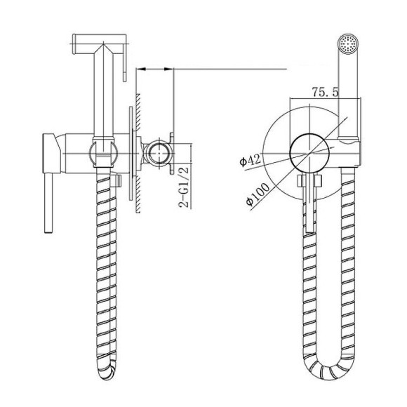 Гигиенический душ со смесителем Caprigo Don 53-133-CRM Хром