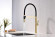 Смеситель для кухни Paulmark Leader Le214101-SBG Светлое брашированное золото
