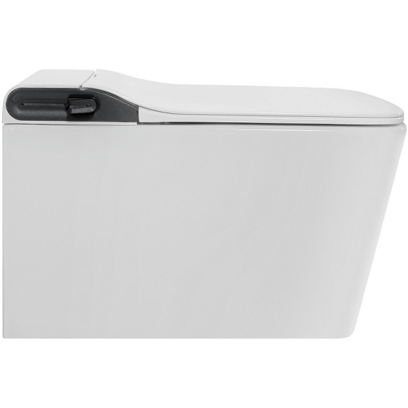 Унитаз биде Abber Rechteck AC1215S подвесной с сиденьем Микролифт Унитаз биде Abber Rechteck AC1215S подвесной с сиденьем Микролифт