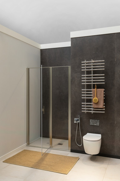 Душевая дверь Allen Brau Priority 100 3.31029.BA профиль Серебро браш стекло прозрачное Душевая дверь Allen Brau Priority 100 3.31029.BA профиль Серебро браш стекло прозрачное