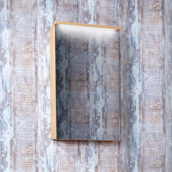 Зеркальный шкаф Бриклаер Форест 40 4627125414695 с подсветкой Дуб золотой Антрацит Зеркальный шкаф Бриклаер Форест 40 4627125414695 с подсветкой Дуб золотой Антрацит