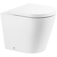 Унитаз BelBagno Flay-R BB1003CBR приставной без сиденья Унитаз BelBagno Flay-R BB1003CBR приставной без сиденья