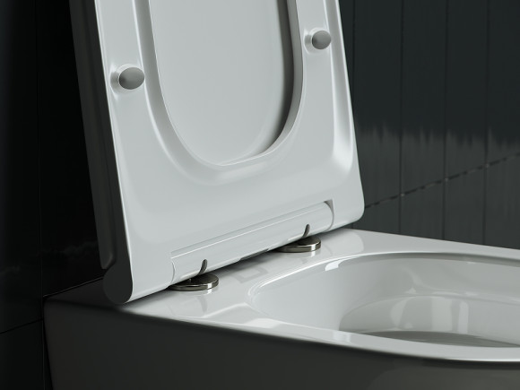 Унитаз Ceramicanova Forma CN3011 подвесной с сиденьем Микролифт Унитаз Ceramicanova Forma CN3011 подвесной с сиденьем Микролифт