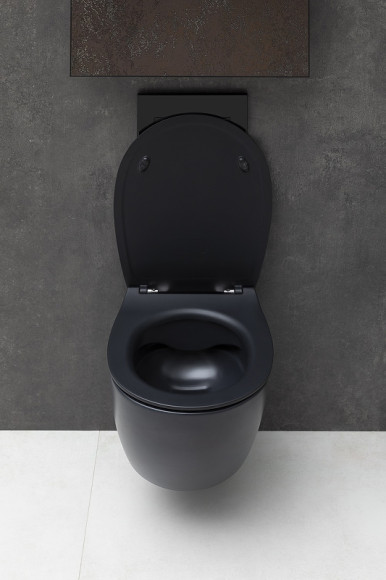 Унитаз Allen Brau Fantasy 4.11004.31 подвесной Черный матовый без сиденья