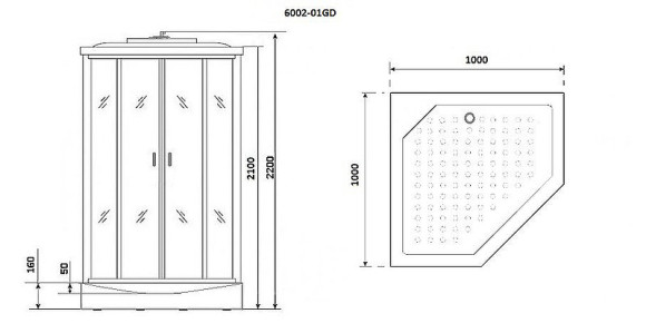 Душевая кабина Niagara Premium 100x100 NG-6002-01GD с гидромассажем Душевая кабина Niagara Premium 100x100 NG-6002-01GD с гидромассажем