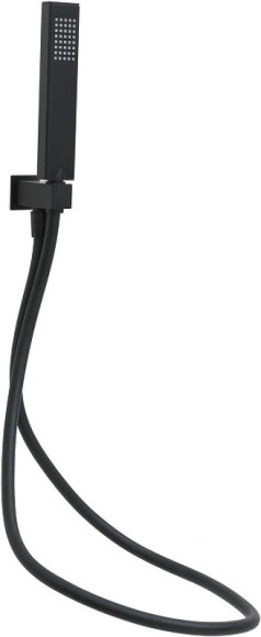 Душевой гарнитур Allen Brau Infinity 5.21021-31 Черный матовый Душевой гарнитур Allen Brau Infinity 5.21021-31 Черный матовый