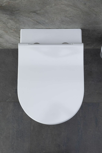 Унитаз Allen Brau Priority  4.31001.20 подвесной без сиденья