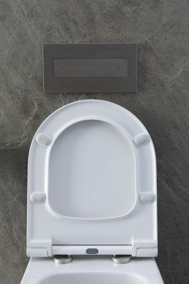 Унитаз Allen Brau Priority  4.31001.20 подвесной без сиденья