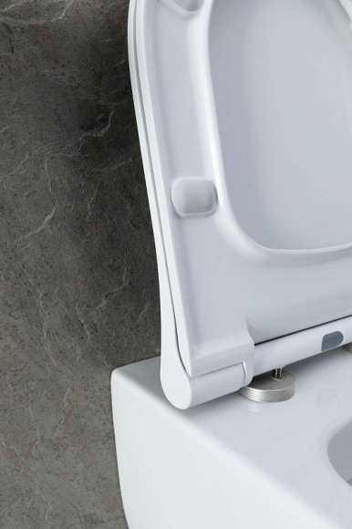 Унитаз Allen Brau Priority  4.31001.20 подвесной без сиденья