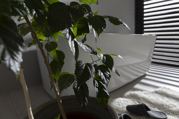 Акриловая ванна Allen Brau Infinity 3 170x78 2.21003.20 без гидромассажа