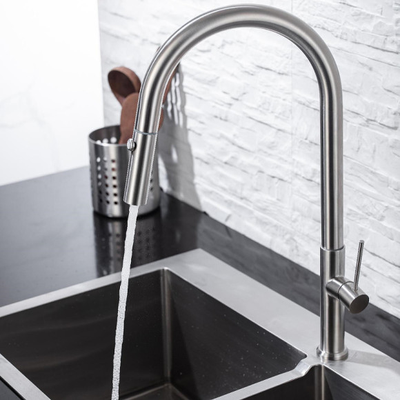 Смеситель для кухни Allen Brau Sprungfeder 5.60002-SS Брашированная сталь Смеситель для кухни Allen Brau Sprungfeder 5.60002-SS Брашированная сталь