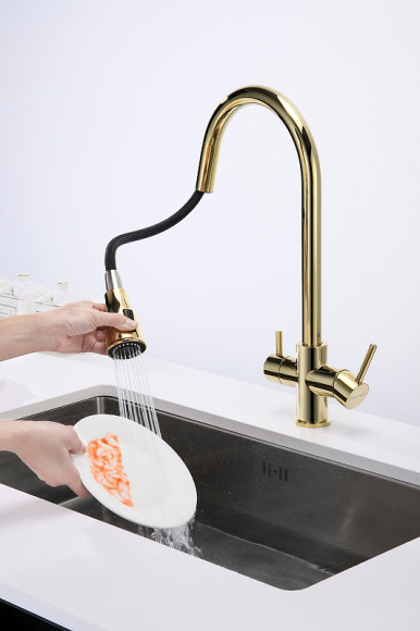 Смеситель для кухни Paulmark Lange La214212-G Золото