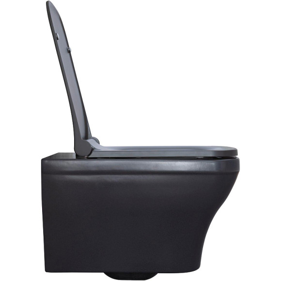 Унитаз Allen Brau Infinity 4.21011.AN подвесной Антрацит без сиденья Унитаз Allen Brau Infinity 4.21011.AN подвесной Антрацит без сиденья