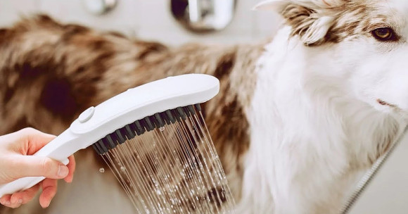 Ручной душ Hansgrohe DogShower 26640540 для собак Бирюзовый Ручной душ Hansgrohe DogShower 26640540 для собак Бирюзовый