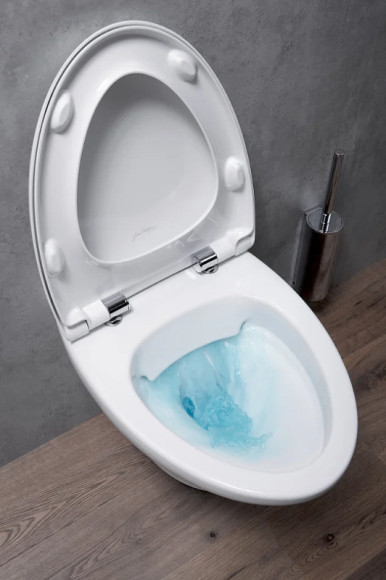 Унитаз Jacob Delafon Nouvelle Vague EDJ102-00 подвесной без сиденья