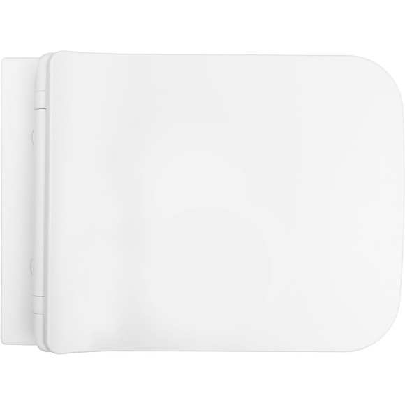 Унитаз Allen Brau Liberty 2 4.33007.21 подвесной Белый матовый без сиденья