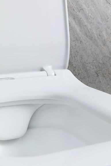 Унитаз Allen Brau Liberty 2 4.33007.21 подвесной Белый матовый без сиденья