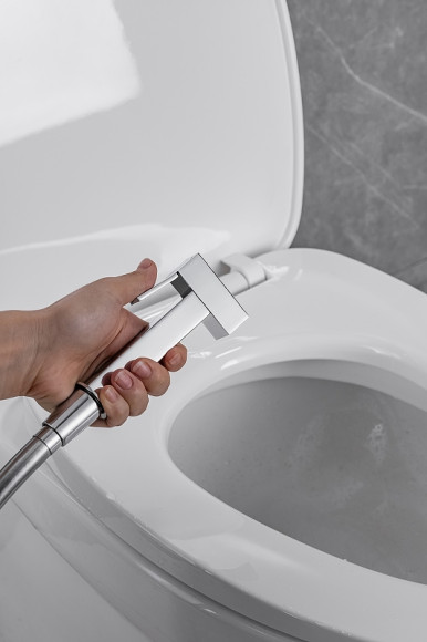 Гигиенический душ со смесителем Allen Brau Infinity 5.21005-00 Хром Гигиенический душ со смесителем Allen Brau Infinity 5.21005-00 Хром