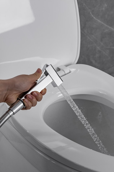 Гигиенический душ со смесителем Allen Brau Infinity 5.21005-00 Хром Гигиенический душ со смесителем Allen Brau Infinity 5.21005-00 Хром