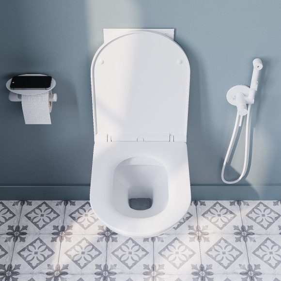 Унитаз Iddis Zodiac ZDCRDSEi25 подвесной с сиденьем Микролифт