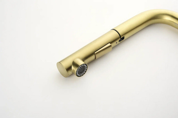 Смеситель для кухни Paulmark Neo Ne214419-SBG Светлое брашированное золото