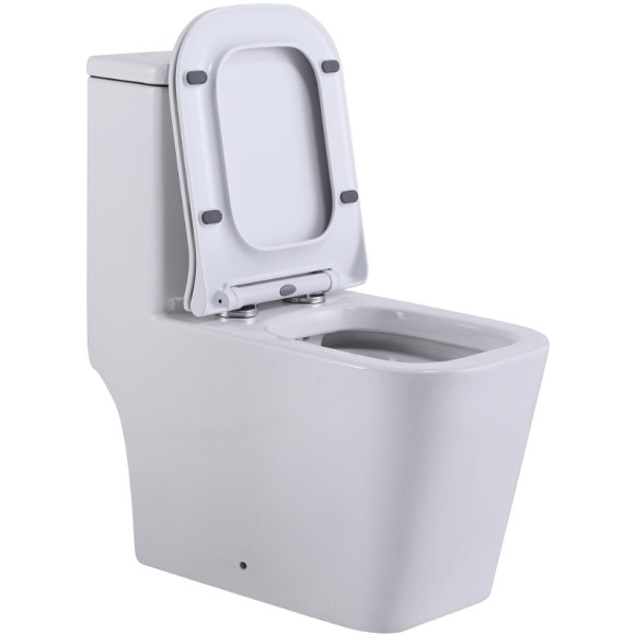 Унитаз моноблок SantiLine SL-5024 с бачком и сиденьем Микролифт