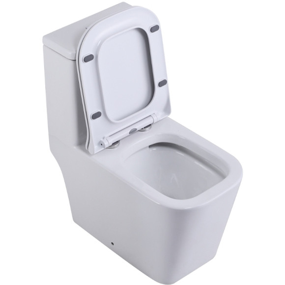 Унитаз моноблок SantiLine SL-5024 с бачком и сиденьем Микролифт