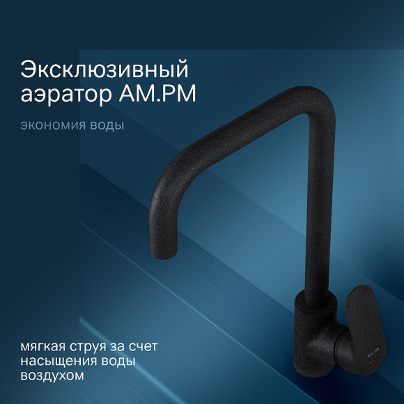 Смеситель для кухни AM.PM Like F8006022 Черный