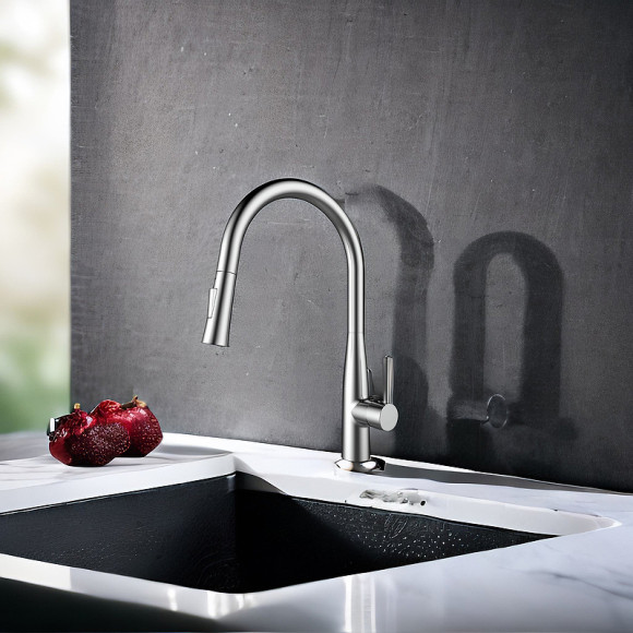 Смеситель для кухни Raiber Graceful RP-011 Хром Смеситель для кухни Raiber Graceful RP-011 Хром