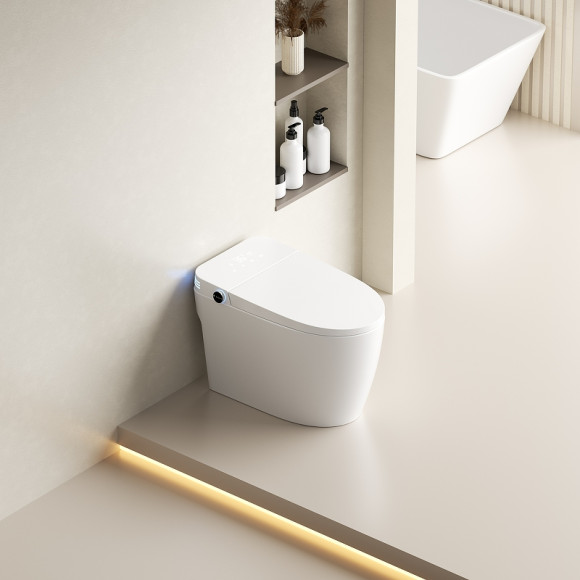 Унитаз биде SantiLine SL-5035 приставной с сиденьем Микролифт