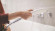 Ручной душ Hansgrohe DogShower 26640560 для собак Розовый Ручной душ Hansgrohe DogShower 26640560 для собак Розовый