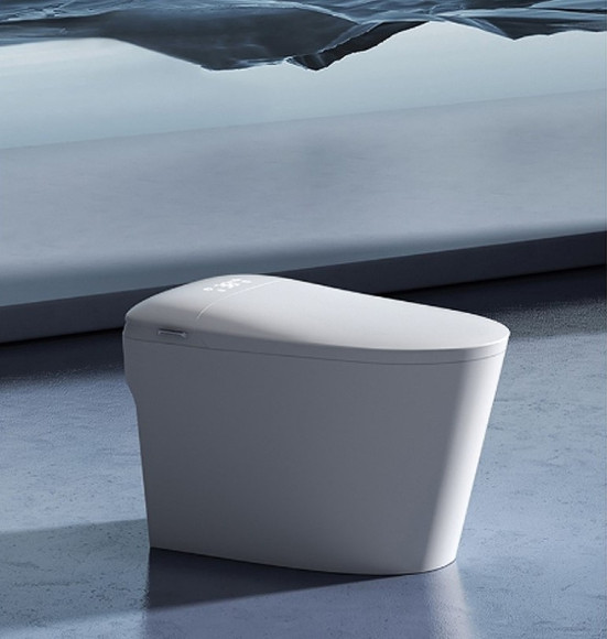 Унитаз биде SantiLine SL-5036 приставной с сиденьем Микролифт