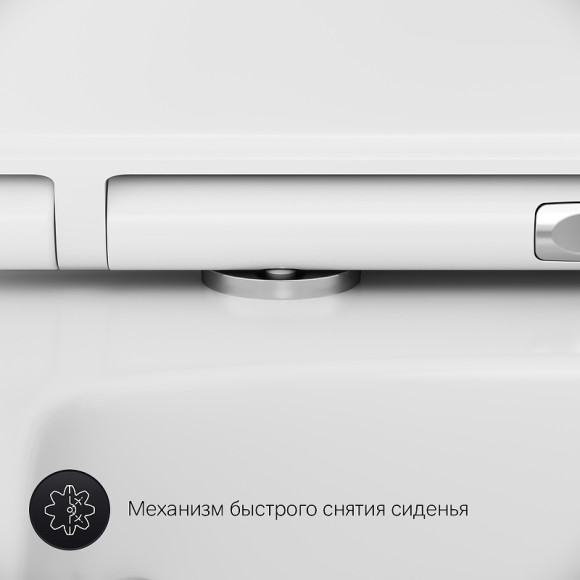 Унитаз AM.PM Inspire V2.0 FlashClean CK50H0603W подвесной с гигиеническим душем и ершиком с сиденьем Микролифт Унитаз AM.PM Inspire V2.0 FlashClean CK50H0603W подвесной с гигиеническим душем и ершиком с сиденьем Микролифт