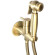 Гигиенический душ со смесителем Webert Elio EL870302065 Бронза
