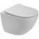 Унитаз BelBagno Amanda-Tor BB051CH-TOR-FC подвесной без сиденья Унитаз BelBagno Amanda-Tor BB051CH-TOR-FC подвесной без сиденья