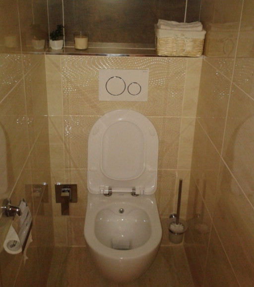 Унитаз биде Creavit Free FE322-00CB00E-0000 подвесной Белый без сиденья