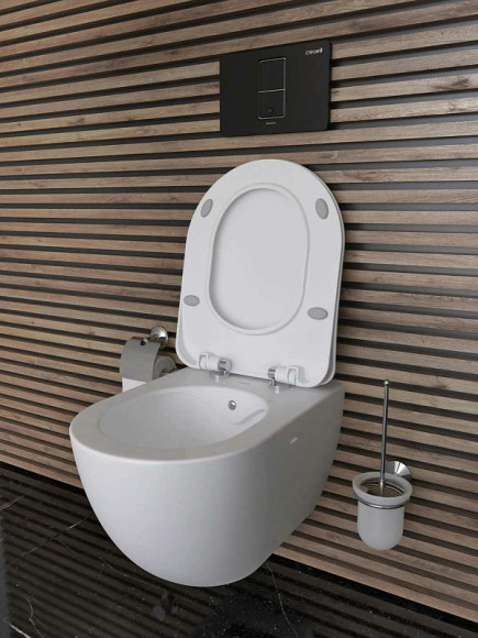 Унитаз биде Creavit Free FE322-00MB00E-0000 подвесной Белый матовый без сиденья Унитаз биде Creavit Free FE322-00MB00E-0000 подвесной Белый матовый без сиденья