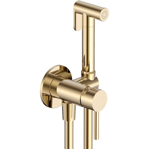 Гигиенический душ со смесителем AQUAme Siena AQM6217BG Шлифованное золото