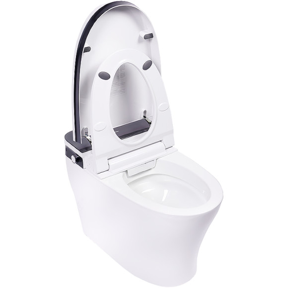 Унитаз биде Panasonic CH2711 приставной с сиденьем Микролифт Унитаз биде Panasonic CH2711 приставной с сиденьем Микролифт