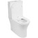 Унитаз компакт WeltWasser Telbach 001 GL-WT 10000003776 Белый глянец с бачком и сиденьем Микролифт Унитаз компакт WeltWasser Telbach 001 GL-WT 10000003776 Белый глянец с бачком и сиденьем Микролифт