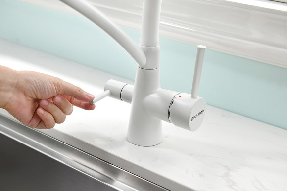 Смеситель для кухни Paulmark Siegen Si213111-431TW Белый