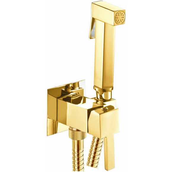 Гигиенический душ со смесителем Webert Pegaso PE870303010 Золото