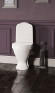 Унитаз-компакт Sanita Luxe Classic DM WC.CC/Classic/2-DM/WHT.G/S1 с бачком и сиденьем Микролифт Унитаз-компакт Sanita Luxe Classic DM WC.CC/Classic/2-DM/WHT.G/S1 с бачком и сиденьем Микролифт