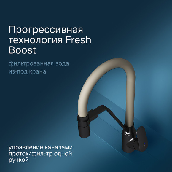 Смеситель для кухни AM.PM Like F8007826 Черный матовый Бежевый Смеситель для кухни AM.PM Like F8007826 Черный матовый Бежевый