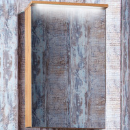 Зеркальный шкаф Бриклаер Форест 50 4627125414701 с подсветкой Дуб золотой Антрацит Зеркальный шкаф Бриклаер Форест 50 4627125414701 с подсветкой Дуб золотой Антрацит