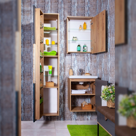 Зеркальный шкаф Бриклаер Форест 50 4627125414701 с подсветкой Дуб золотой Антрацит Зеркальный шкаф Бриклаер Форест 50 4627125414701 с подсветкой Дуб золотой Антрацит