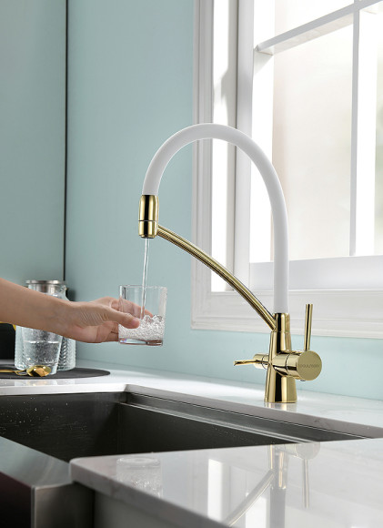 Смеситель для кухни Paulmark Siegen Si213111-Gw Золото Белый